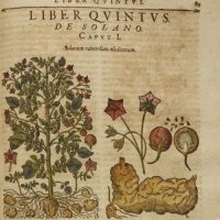 Tobacco is healthy: valuable herbal books from three Maastricht collections MABP2017-page-001_LW