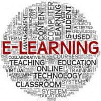 Publication on peer feedback and peer assessment elearning