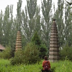 Day #9: Pagodas everywhere