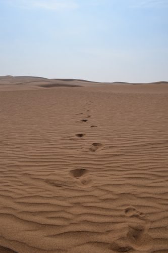 In the footsteps (of the Jesuits?)