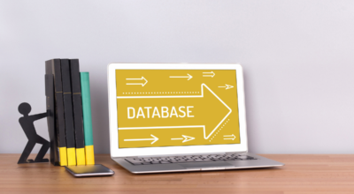 Changes and cancellations in databases licensed for SBE as of 1 January 2024