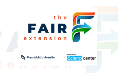 The FAIR Extension: Get FAIR Evaluation metrics directly from your browser
