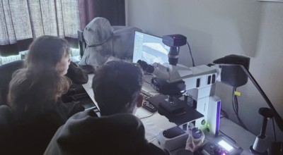 Students doing research with microscope