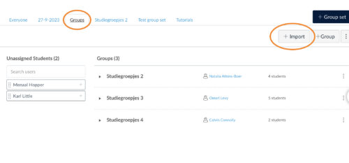 Printscreen of the People page in Canvas. You see an orange circle around one of the Group set tabs and an orange circle around +Import. 