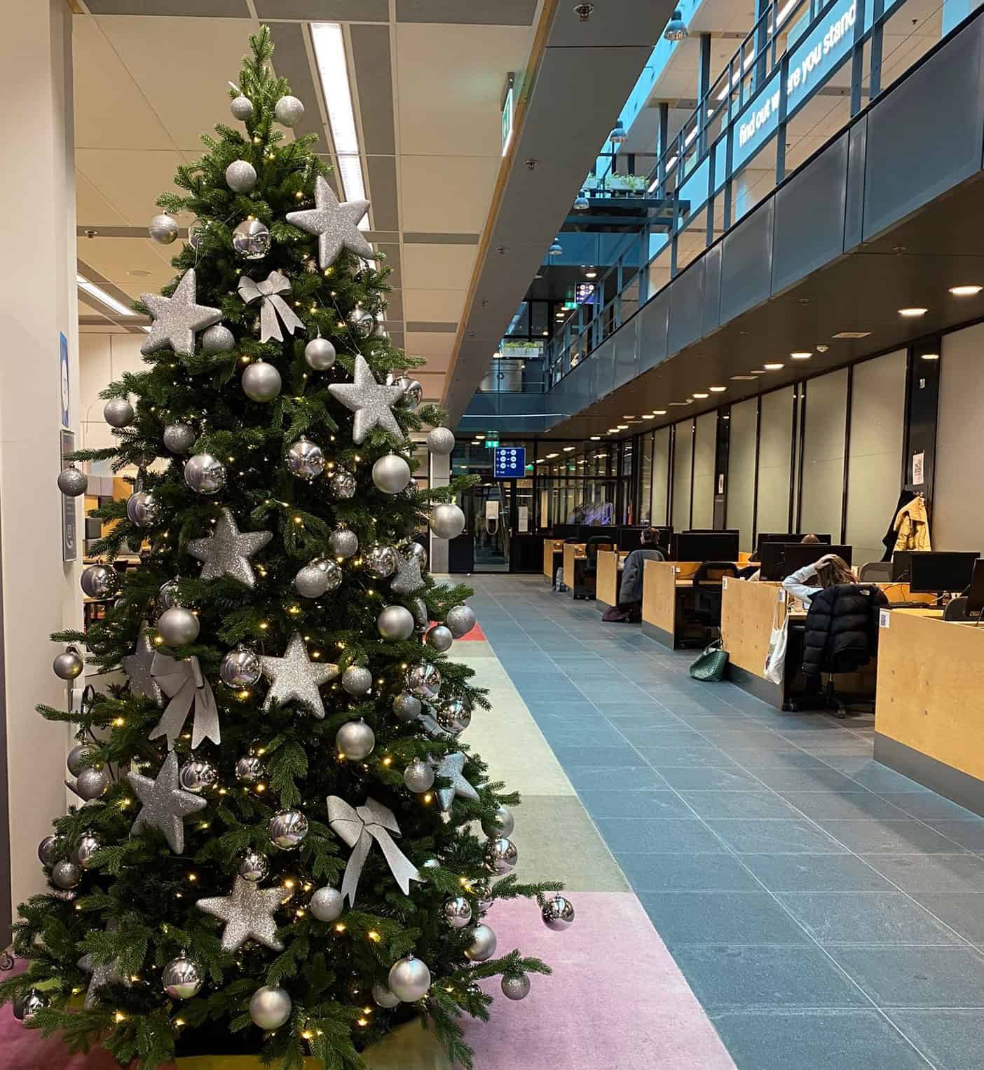 Christmas tree in library