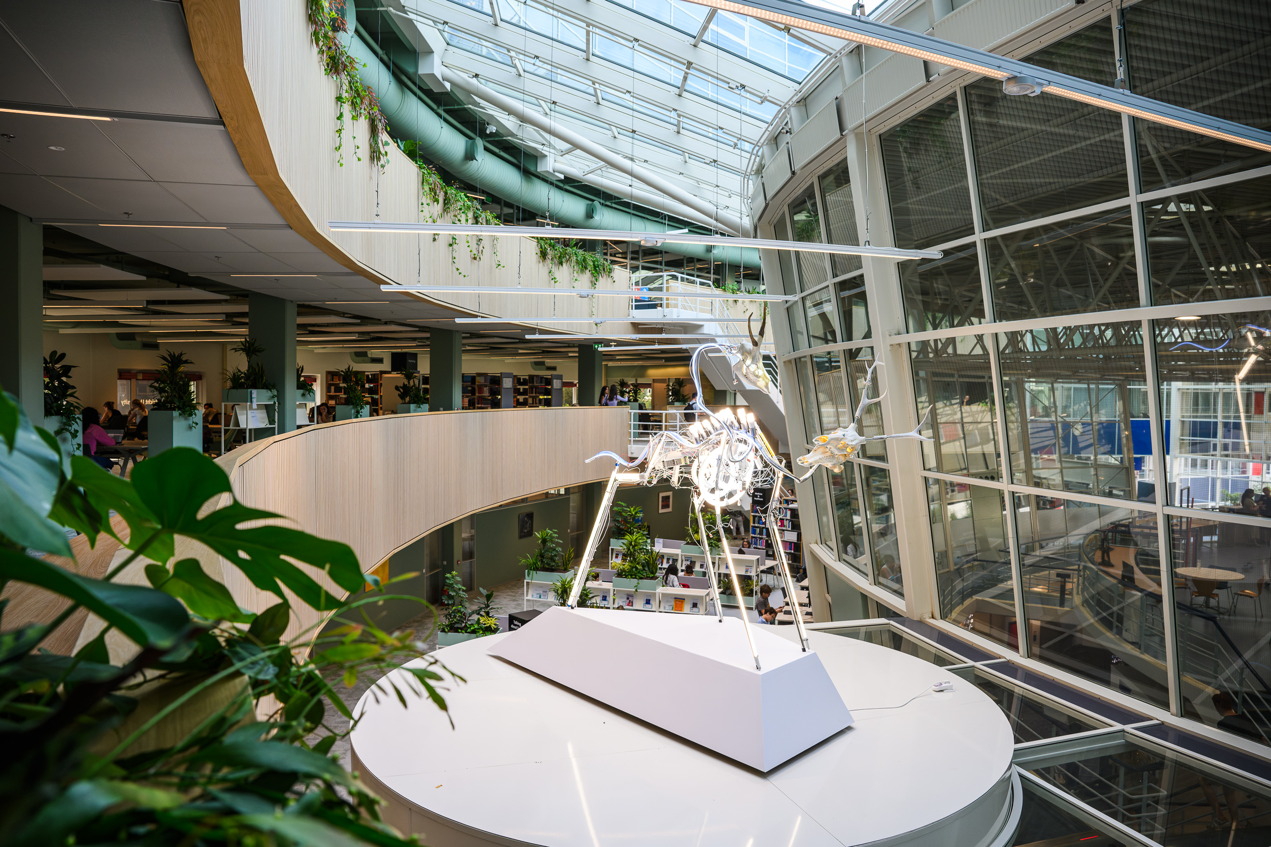 a statue in a university library