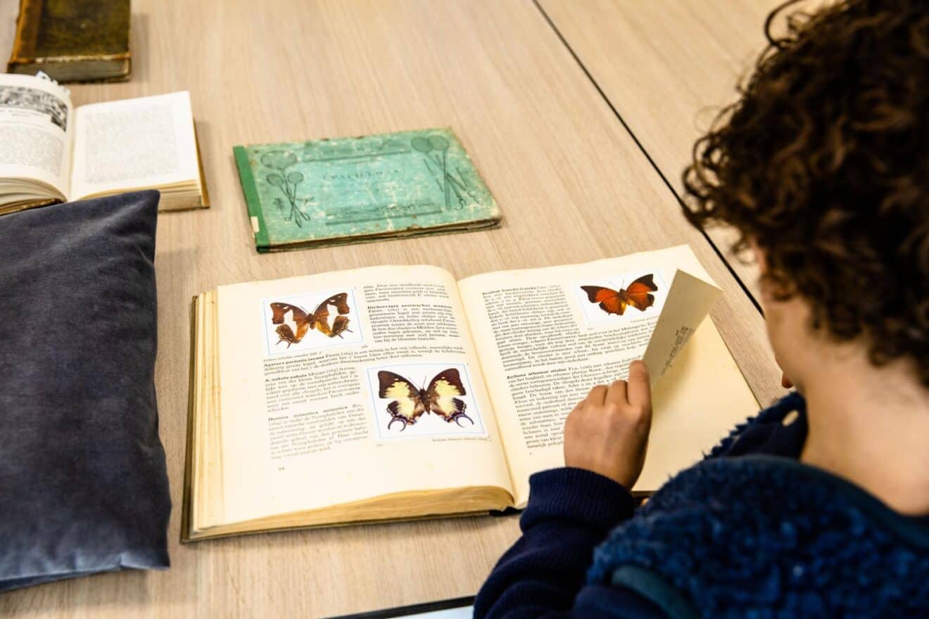 Looking back: Butterflies through the eyes of science and art