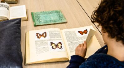 Looking back: Butterflies through the eyes of science and art