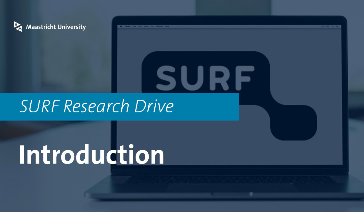 Online research drive at Maastricht University Library for academic resources and study support.