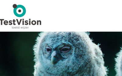 Logo Testvision