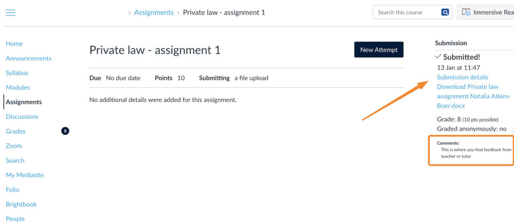 You see a printscreen of an Assignment in a   Canvas course. The Comments section on the right has an orange square around it. An arrow points towards 