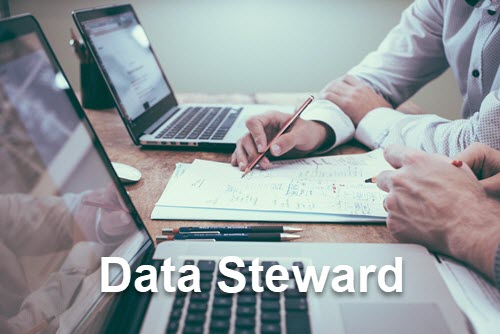 Data stewardship services