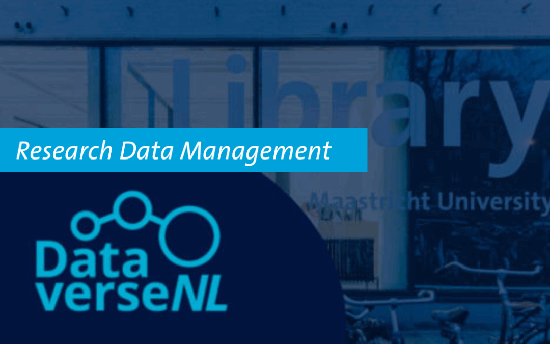 DataverseNL in Practice: Requirements, Workflows, and Best Practices
