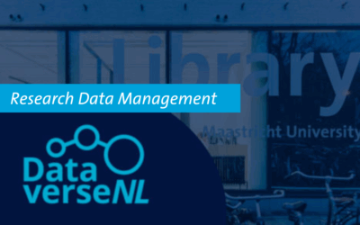 DataverseNL in Practice: Requirements, Workflows, and Best Practices