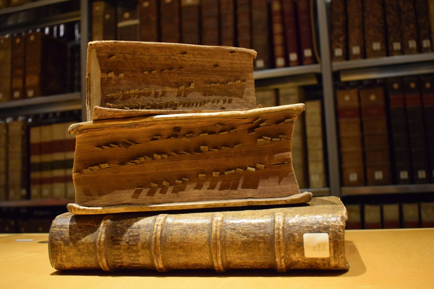 De Saksenspiegel en twee wettenbundels uit 1604 en 1663-1664