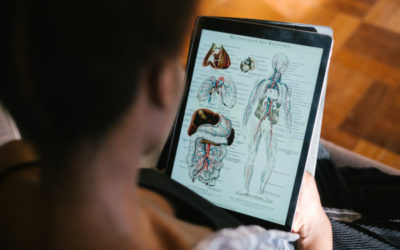 student seen on back looking at anatomical image on tablet
