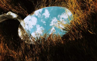 mirror in grass